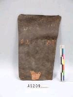 藏品(皮盾)的圖片